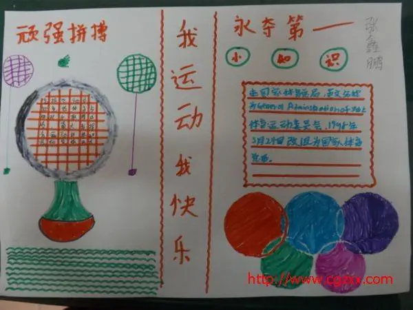 绳梯训练篮球_2